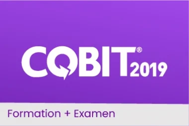 COBIT® 2019 Foundation - Maîtriser les Principes de Gouvernance des TI