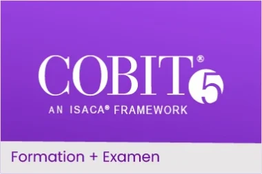 COBIT 5 Foundation - Avancez votre carrière en gouvernance IT