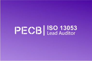 PECB ISO 13053 Lead Auditor -  Une étape clé dans votre carrière d'auditeur