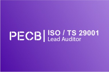 PECB ISO / TS 29001 Lead Auditor - Qualité Industrie Pétrolière