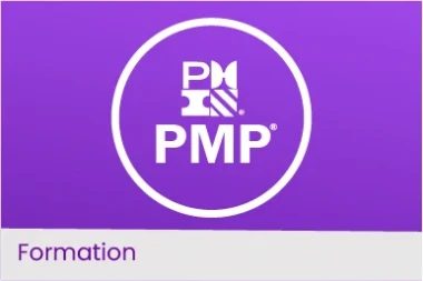 PMP- Project Management Professional
