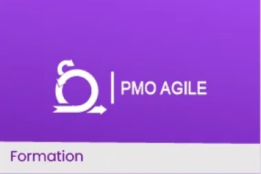Project Management Office Agile (PMO Agile) : réussir le pilotage des projets