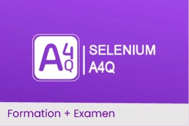 Selenium A4Q Foundation - Maîtrisez l'Automatisation des Tests Logiciels
