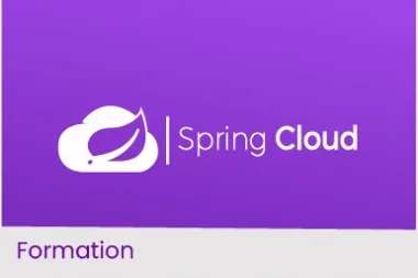 Spring Cloud -  Architecture orientée Services